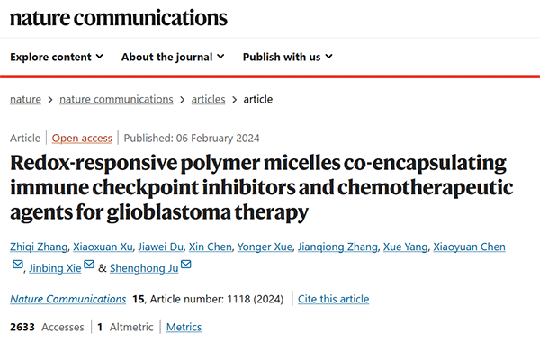 Redox-responsive polymer micelles co-encapsulating immune checkpoint inhibitors and chemotherapeutic agents for glioblastoma therapy